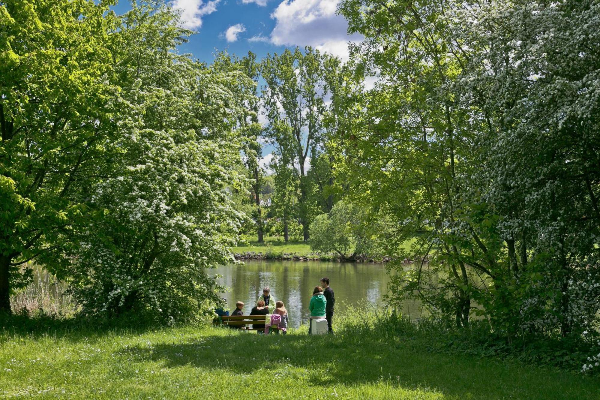 Knaus Campingpark Frickenhausen Frickenhausen am Main Eksteriør bilde